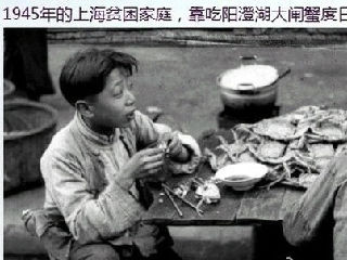 上海贫困家庭靠吃阳澄湖大闸蟹勉强度日