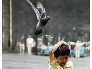 看你不顺眼就尿你