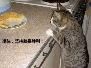 坚持就是胜利