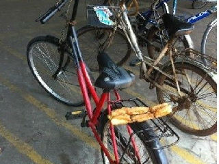 送油条的自行车