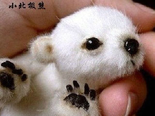 小北极熊