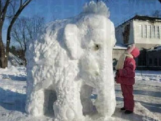 雪象