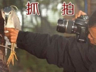 抓拍