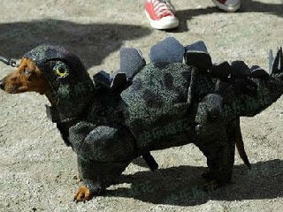 恐龙狗