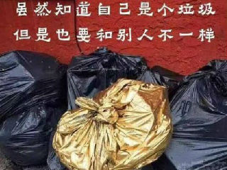 和别人不一样的垃圾