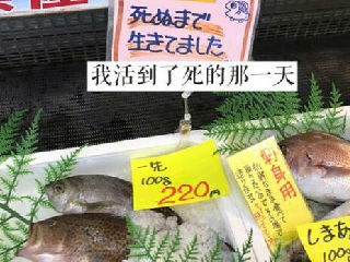 我活到了死的那一天