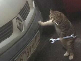 会修汽车的猫