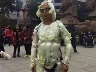 大白菜做的衣服