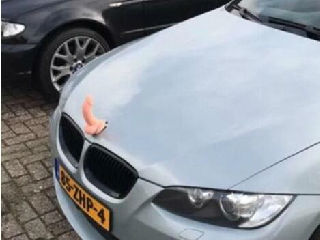 鸡巴车