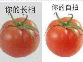 你的长相,你的自拍