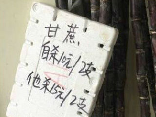 甘蔗自杀10元他杀15元