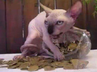 谁敢动我的钱我就和他拼命