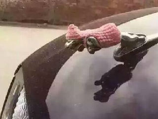 穿衣服的捷豹车