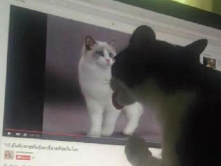 我的漂亮女主播上线了